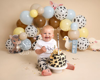 Cake Smash